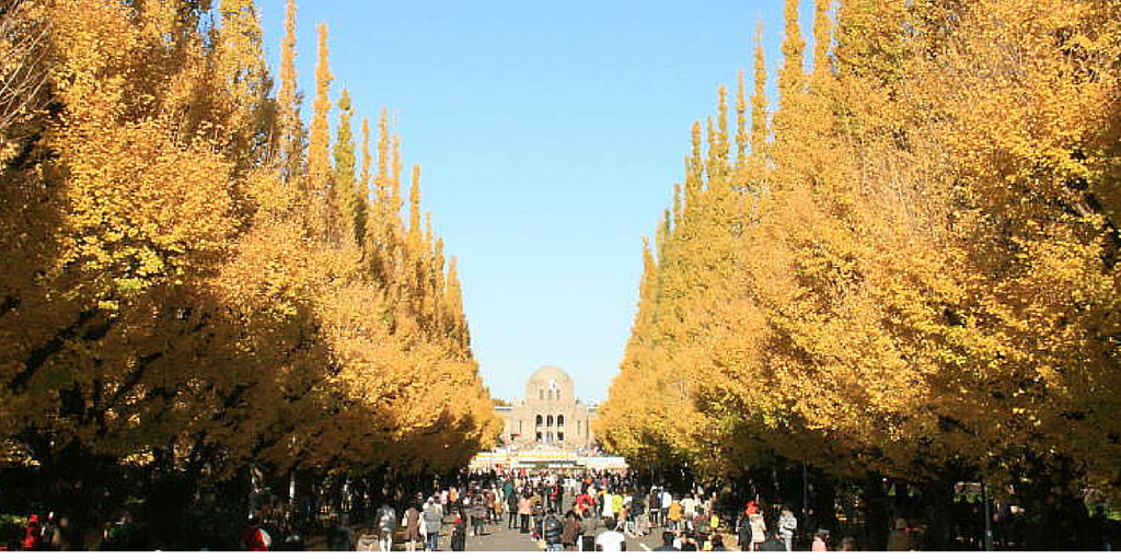 10 Spots for an Easy Autumn Stroll in Tokyo