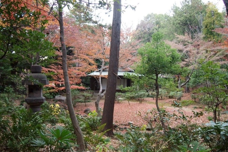 8. Kyu-Furukawa Gardens