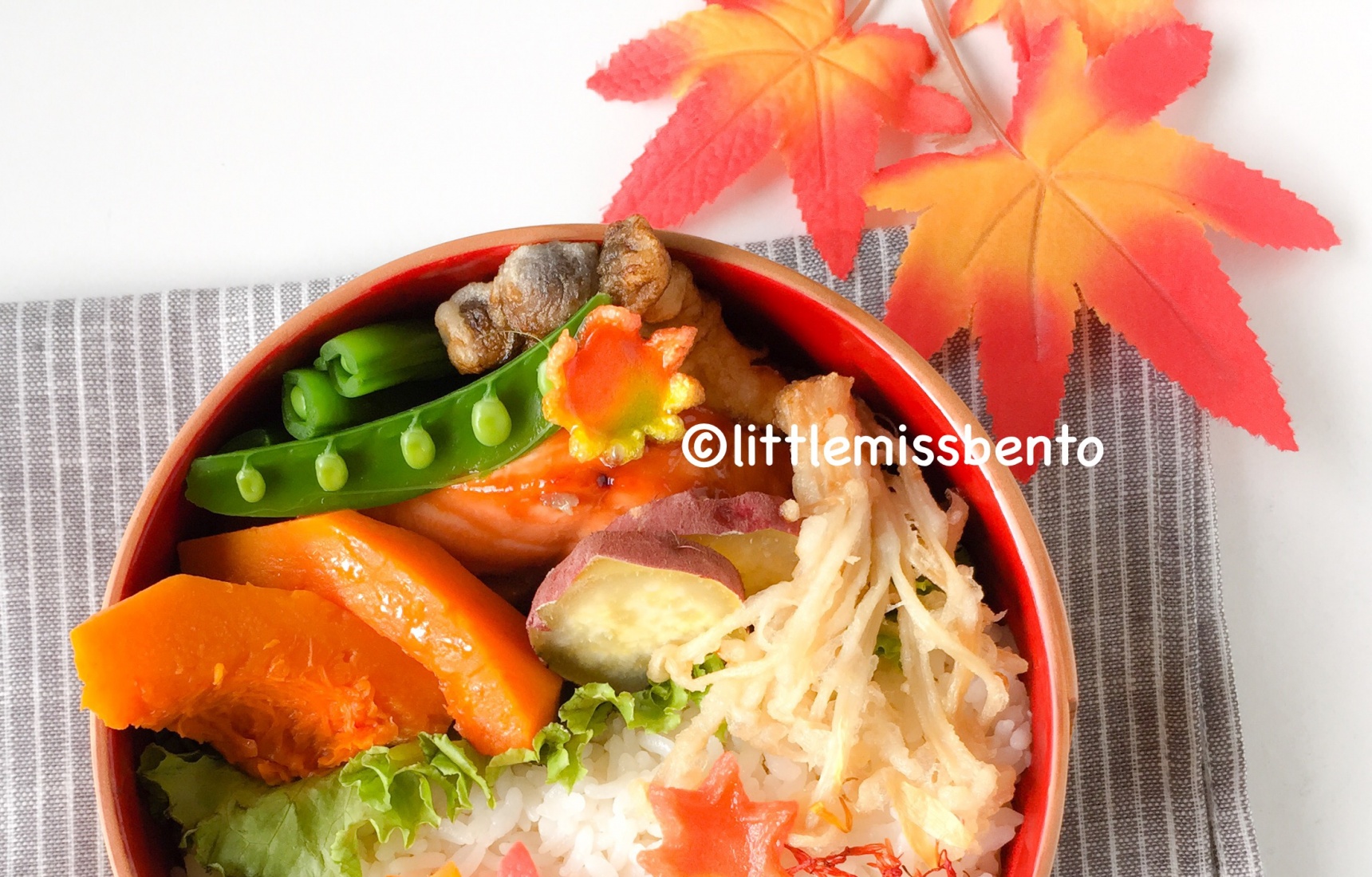 Autumn Bento for Nikko