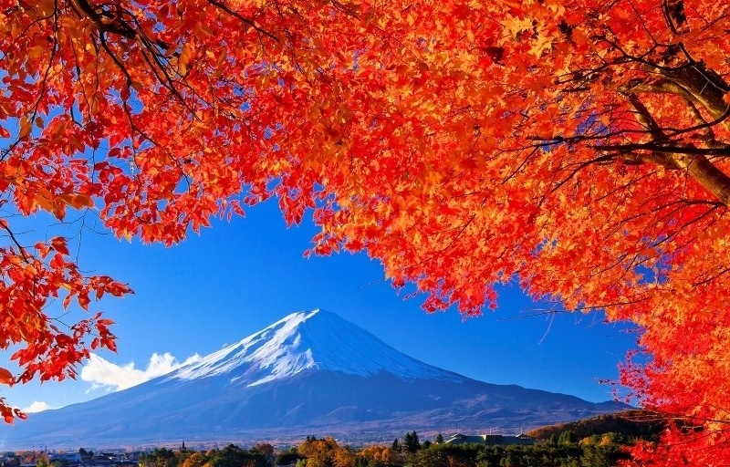 Top 5 Onsen for Fall Colors