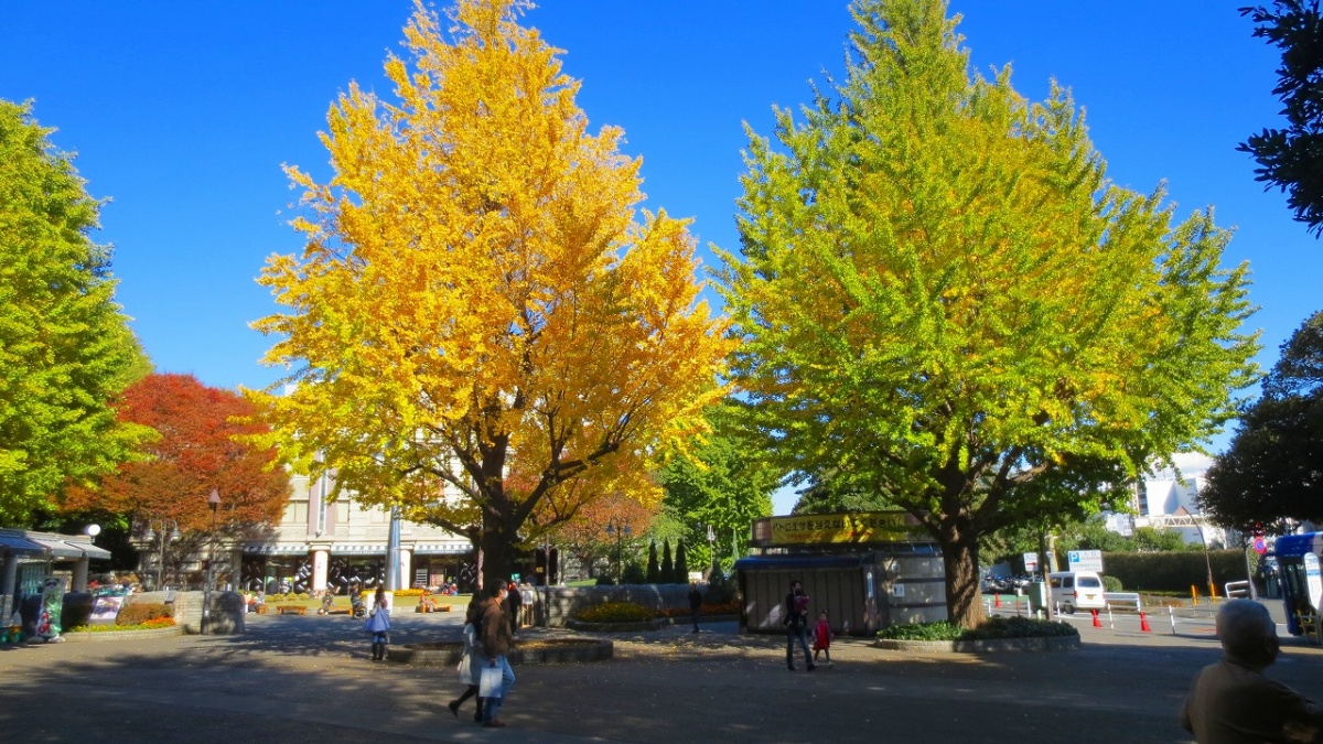 5. Ueno Park