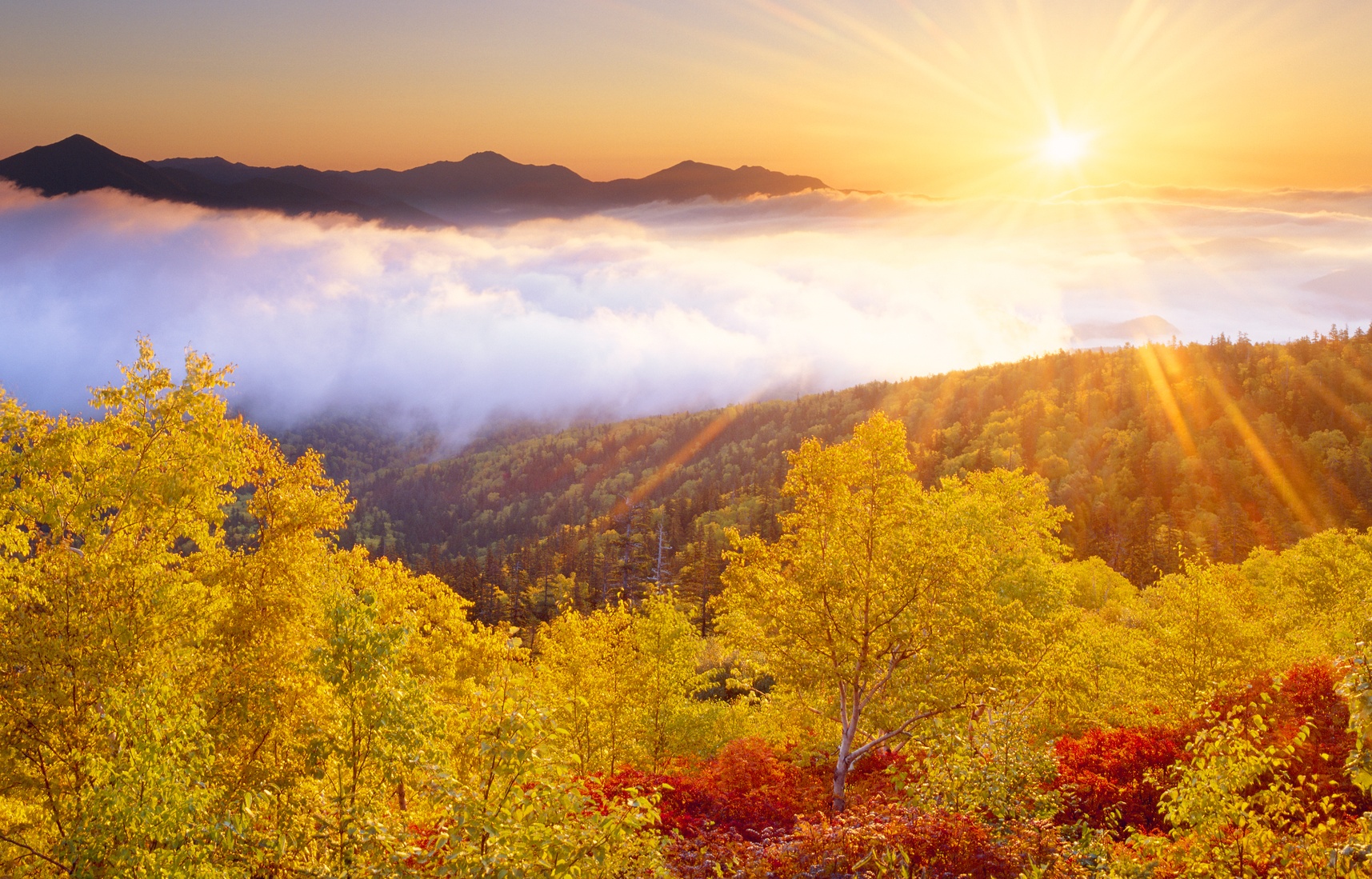 Autumn Starts in Daisetsuzan