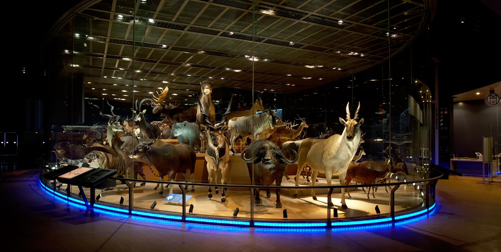 7. National Museum of Nature and Science (Tokyo)
