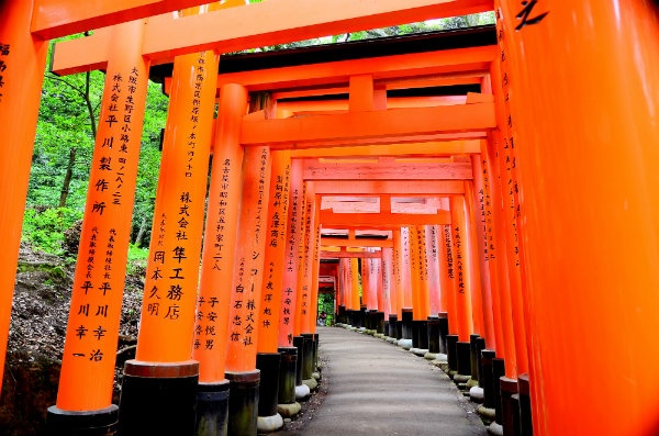 2. The Kyoto Trail (Kyoto)