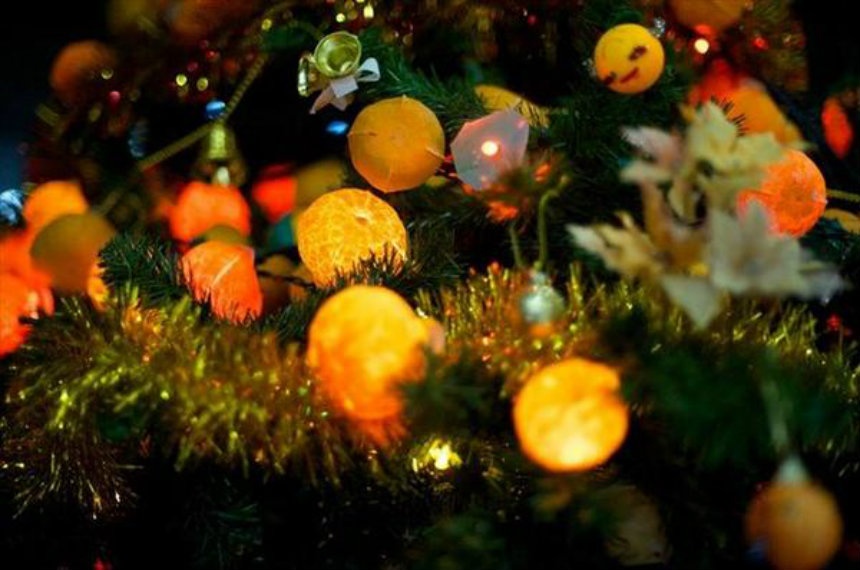 7. Mikan Tree Lights