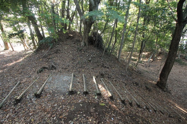 8. Usuida Shukuuchi Fort (Sakura City)