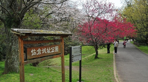 5. Sakura Castle (Sakura City)