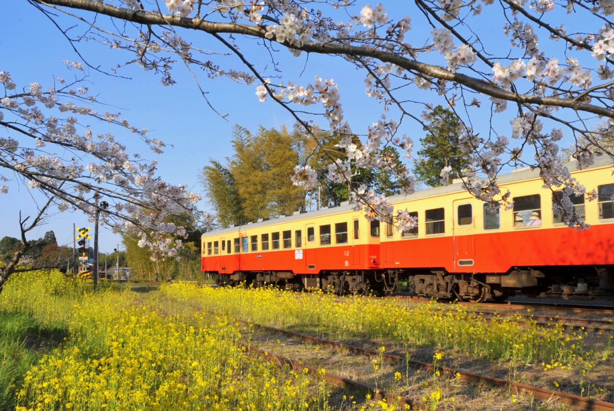 1. Kominato Railway to Yoro Keikoku