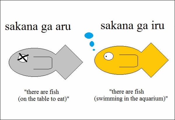 4. Differentiating between 'iru' and 'aru'