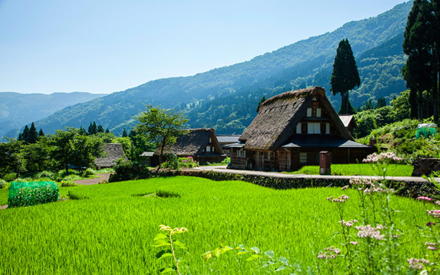 Wonders of Japan: Harmony with Nature