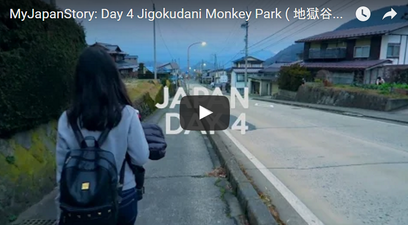 A Day at Jigokudani Monkey Park