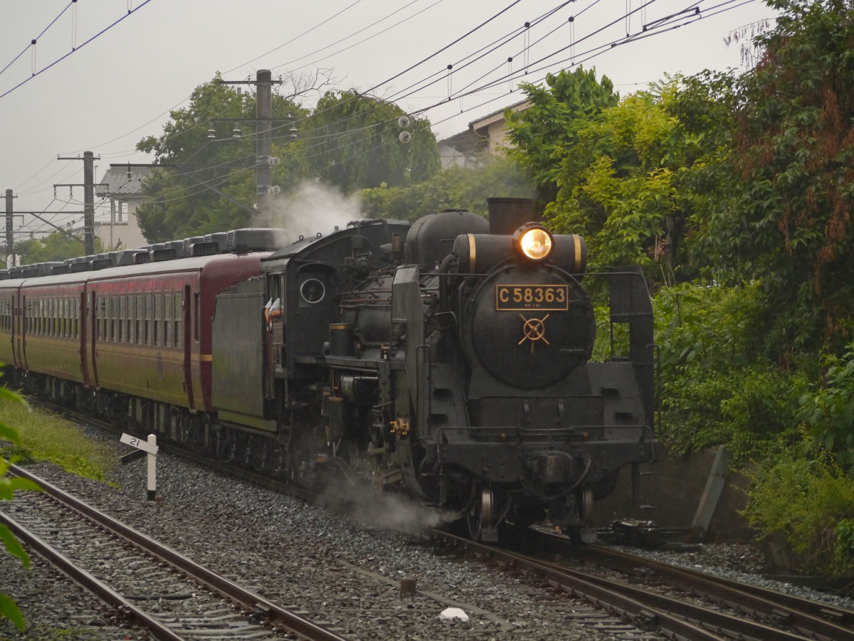 7. Chichibu Railway: Paleo Express (Saitama)