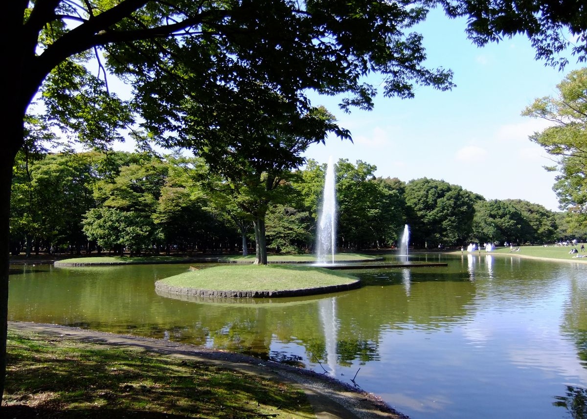 原宿觀光景點推薦之★代代木公園