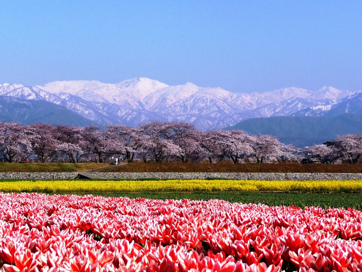 1. Funakawa River