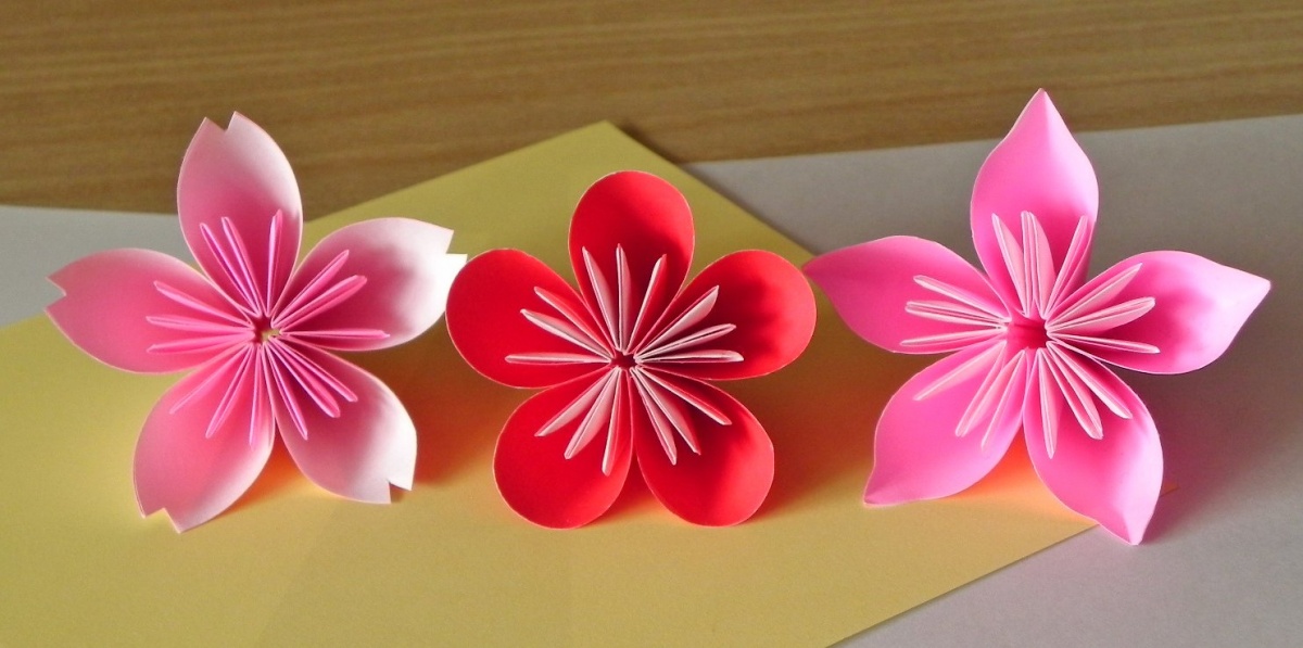 6. ความแตกต่างระหว่างดอกซากุระ ดอกบ๊วย และดอกท้อ