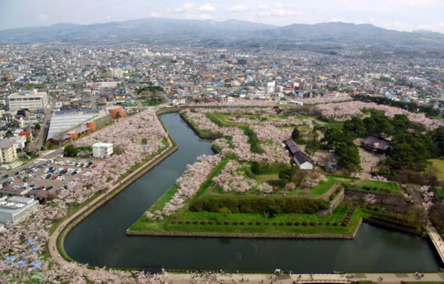 Top 9 Sakura Spots in Tohoku & Hokkaido