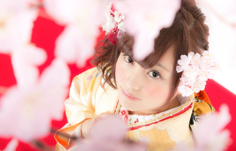 為何日本人如此著迷櫻花