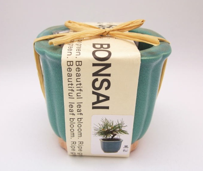 1. Bonsai kit จาก Tokyu Hands