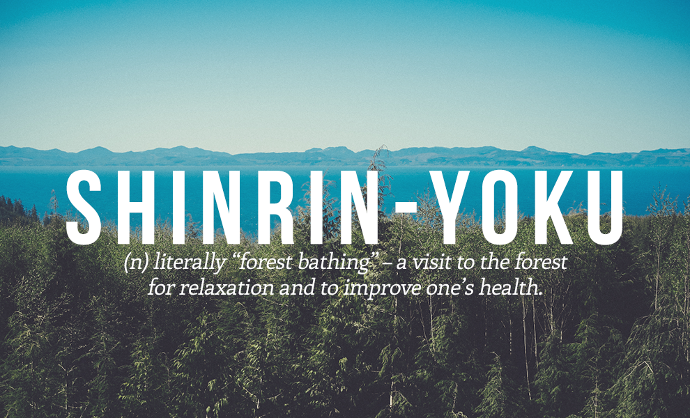 7. Shinrin-yoku