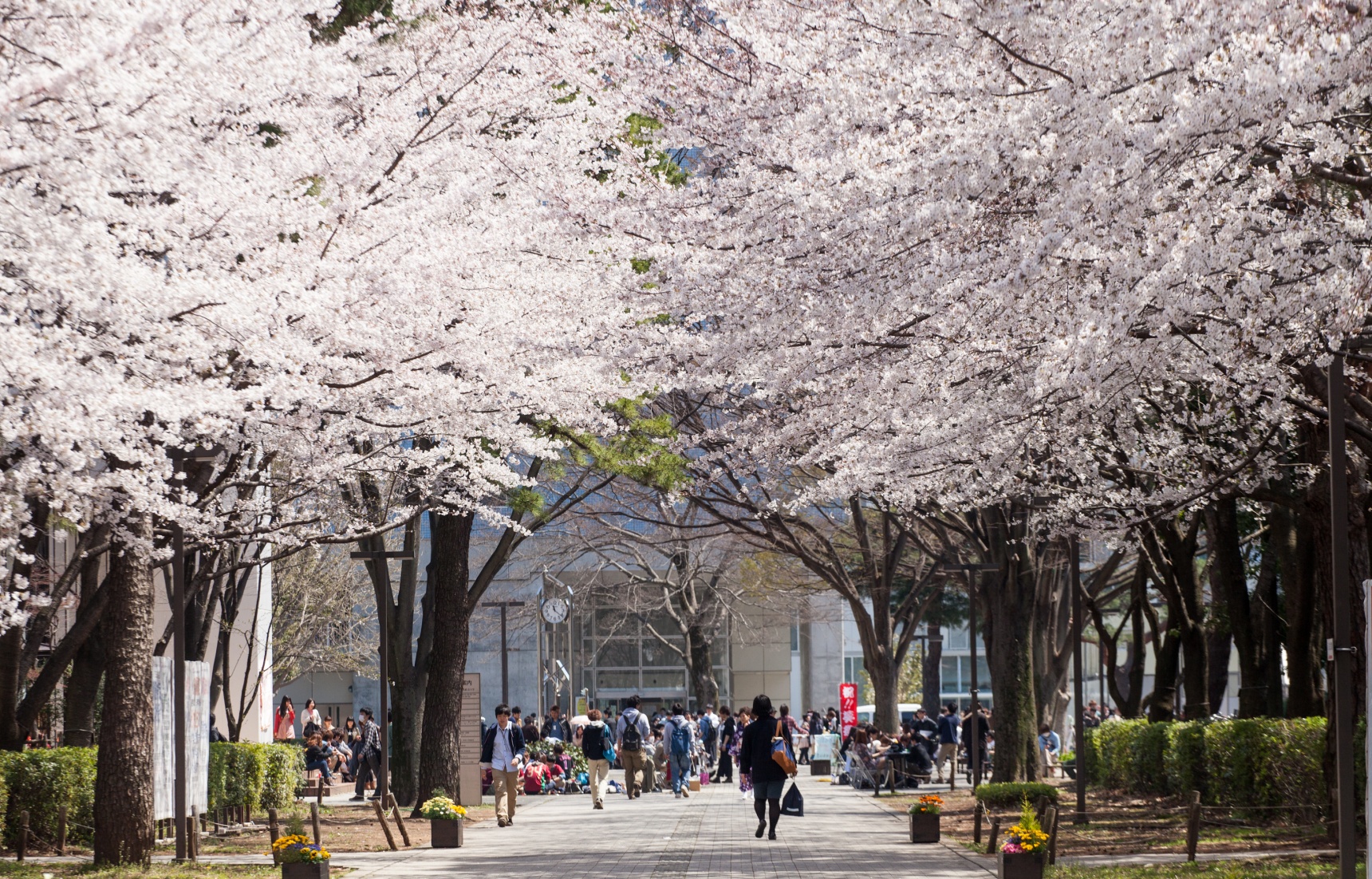 5 อันดับเมืองยอดนิยมในการไปศึกษาต่อที่ญี่ปุ่น