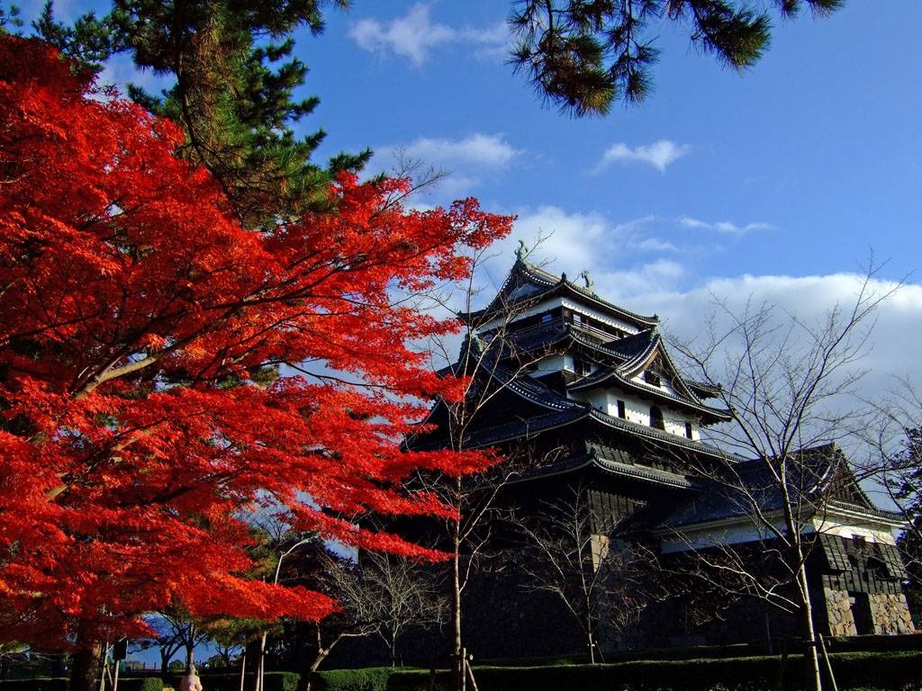 2. ปราสาท Matsue (จังหวัด Shimane)