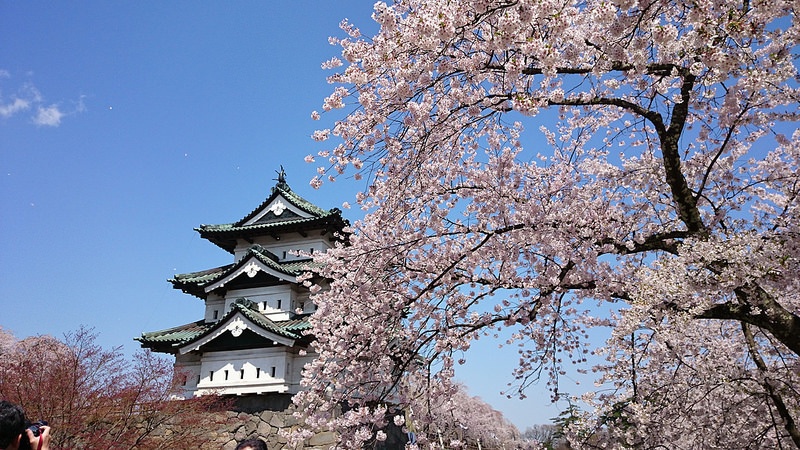 6. ปราสาท Hirosaki จังหวัด Aomori