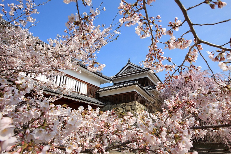 4. ปราสาท Ueda จังหวัด Nagano