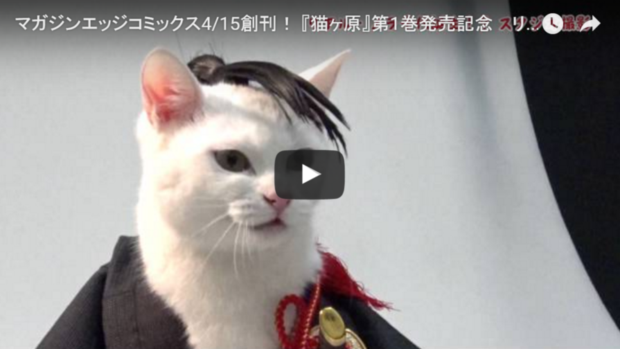 Stray Cat Samurai Comes to Life, Edits Mag