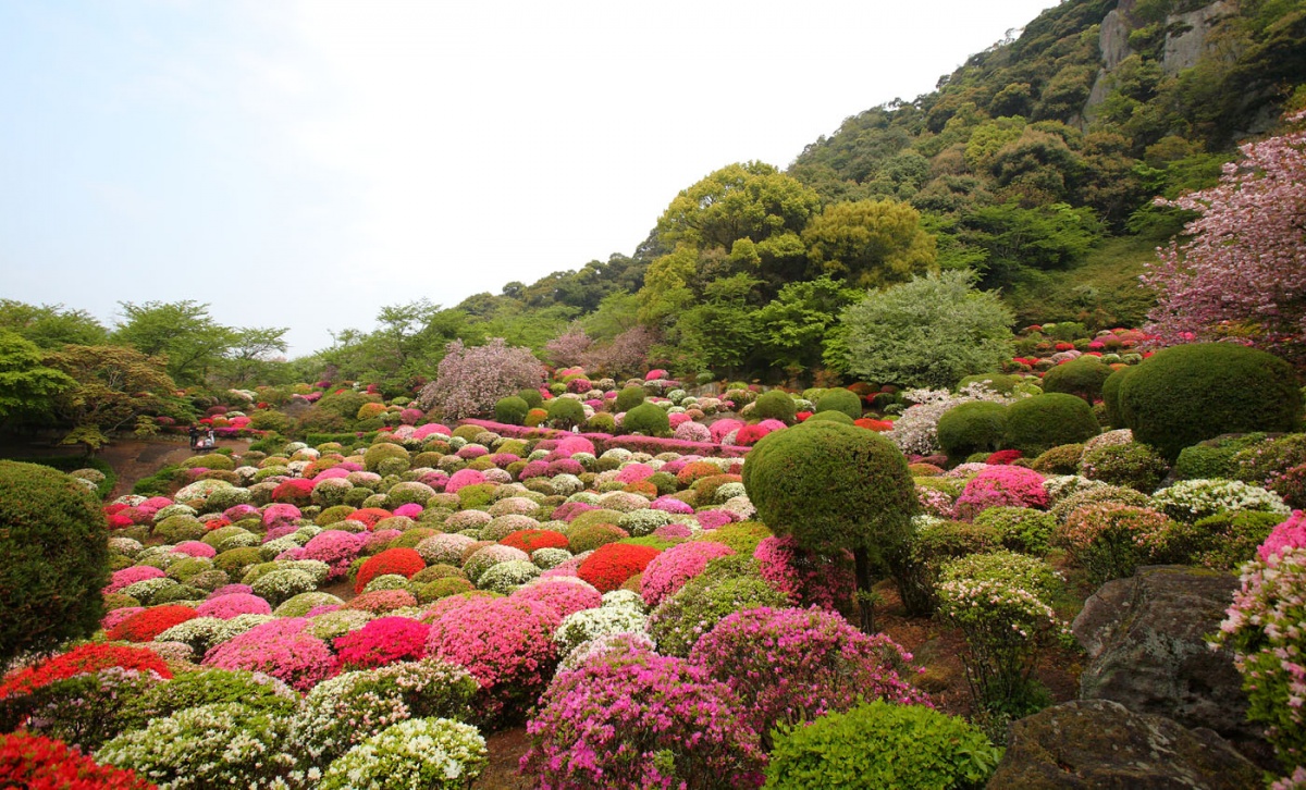 7. สวน Mifuneyama Rakuen  จังหวัด Saga