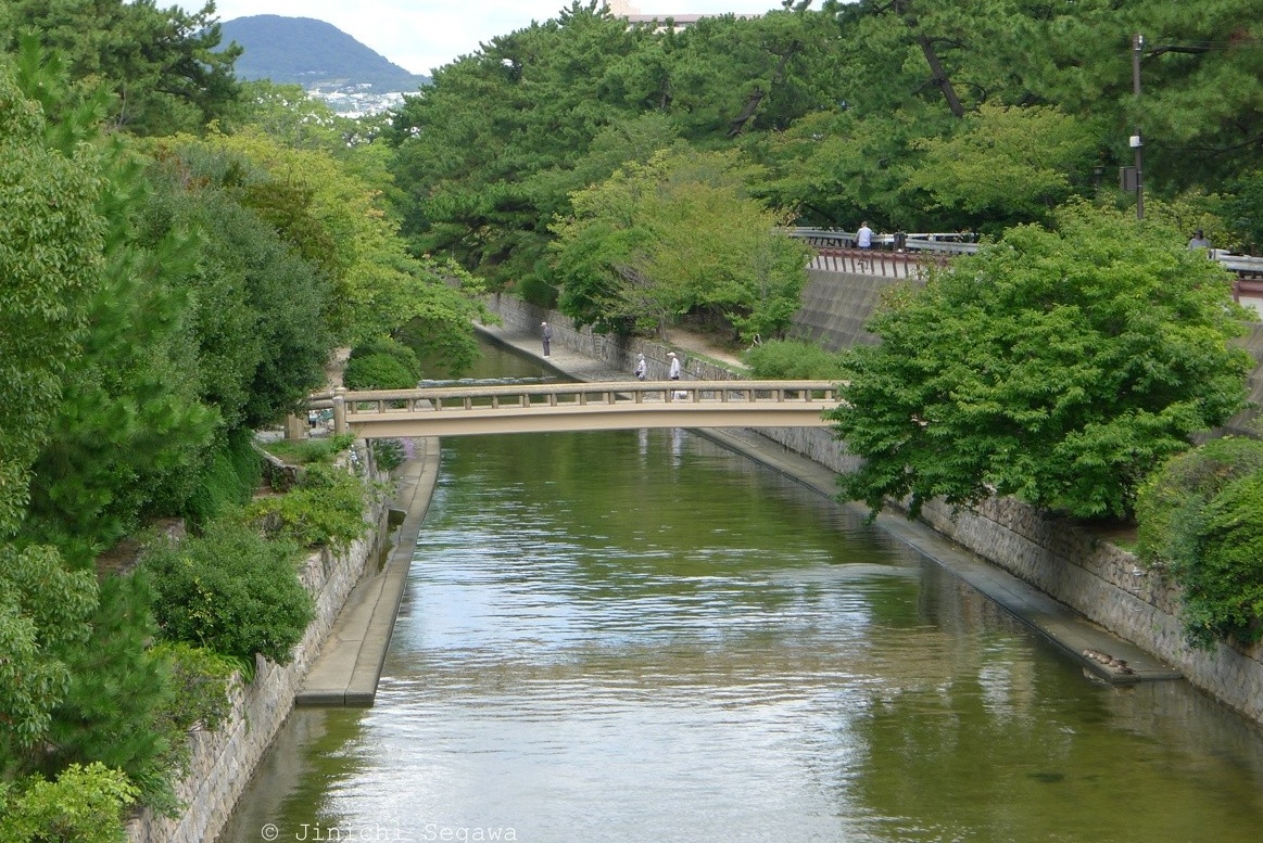 3. Ashihara Bridge — 'Afternoon in the Islets of Langerhans'