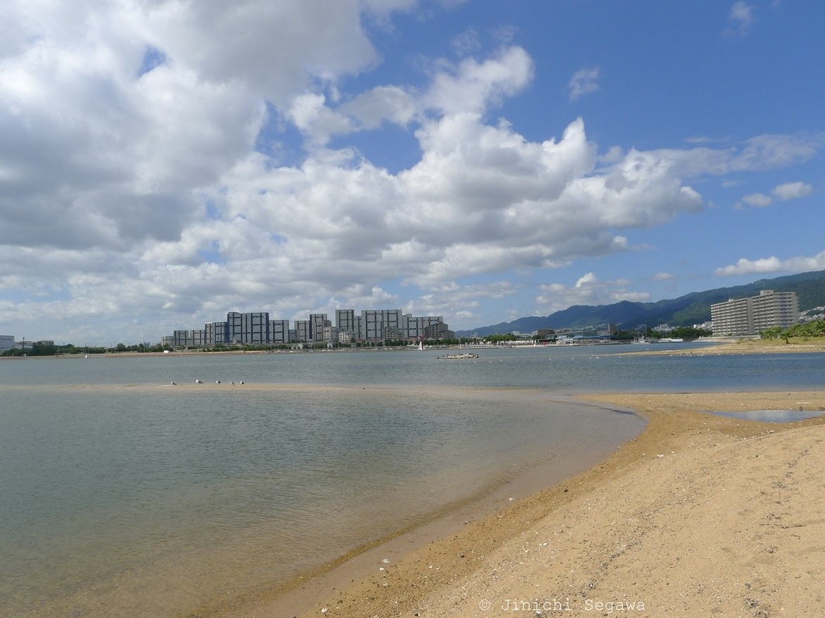 香櫨園海水浴場（禦前浜公園）—《辺境・近境》