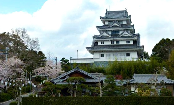 14. Kawashima Castle (Yoshinogawa, Tokushima, ☆)