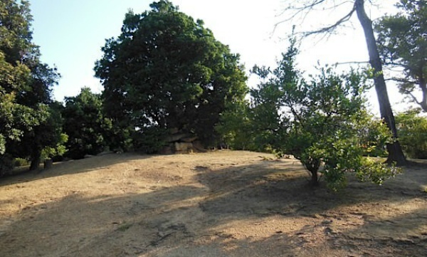 16. Kasashima Castle (Marugame, Kagawa, ☆)