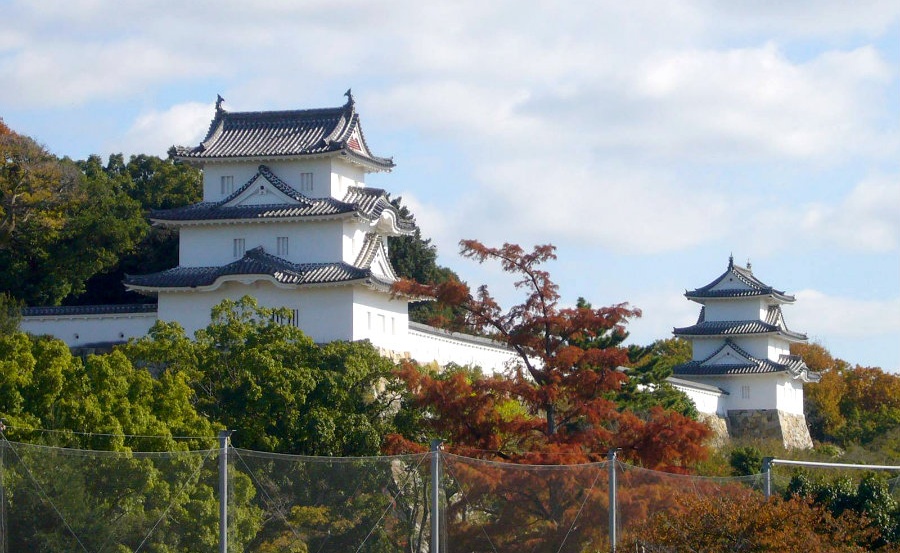 9 Castles to Hit in Hyogo after Himeji