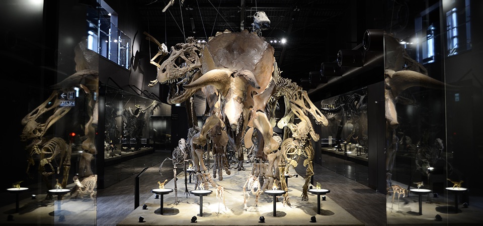 2. Mifune Dinosaur Museum