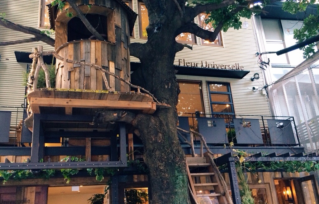 與樹共生的建築空間｜廣尾的夢幻樹屋咖啡廳「Les Grands Arbres」