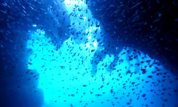 3. Blue Cave Snorkeling
