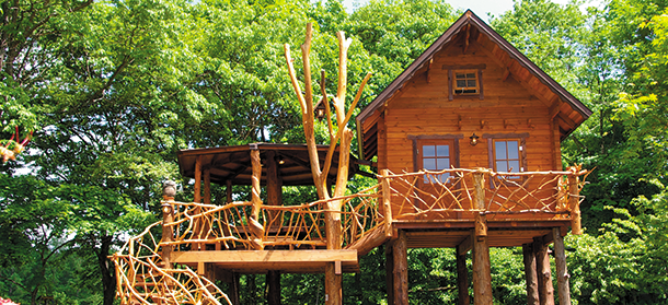 樹屋 tree house