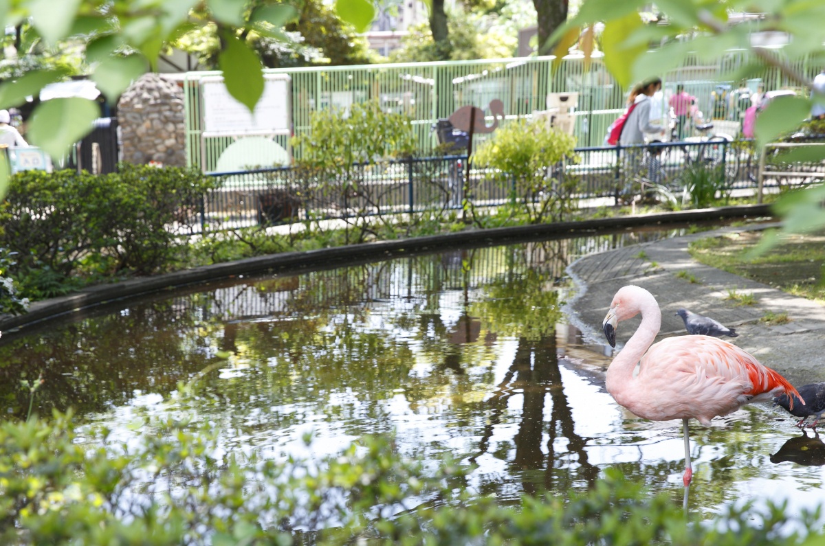 4. Higashi Itabashi Park Children's Zoo