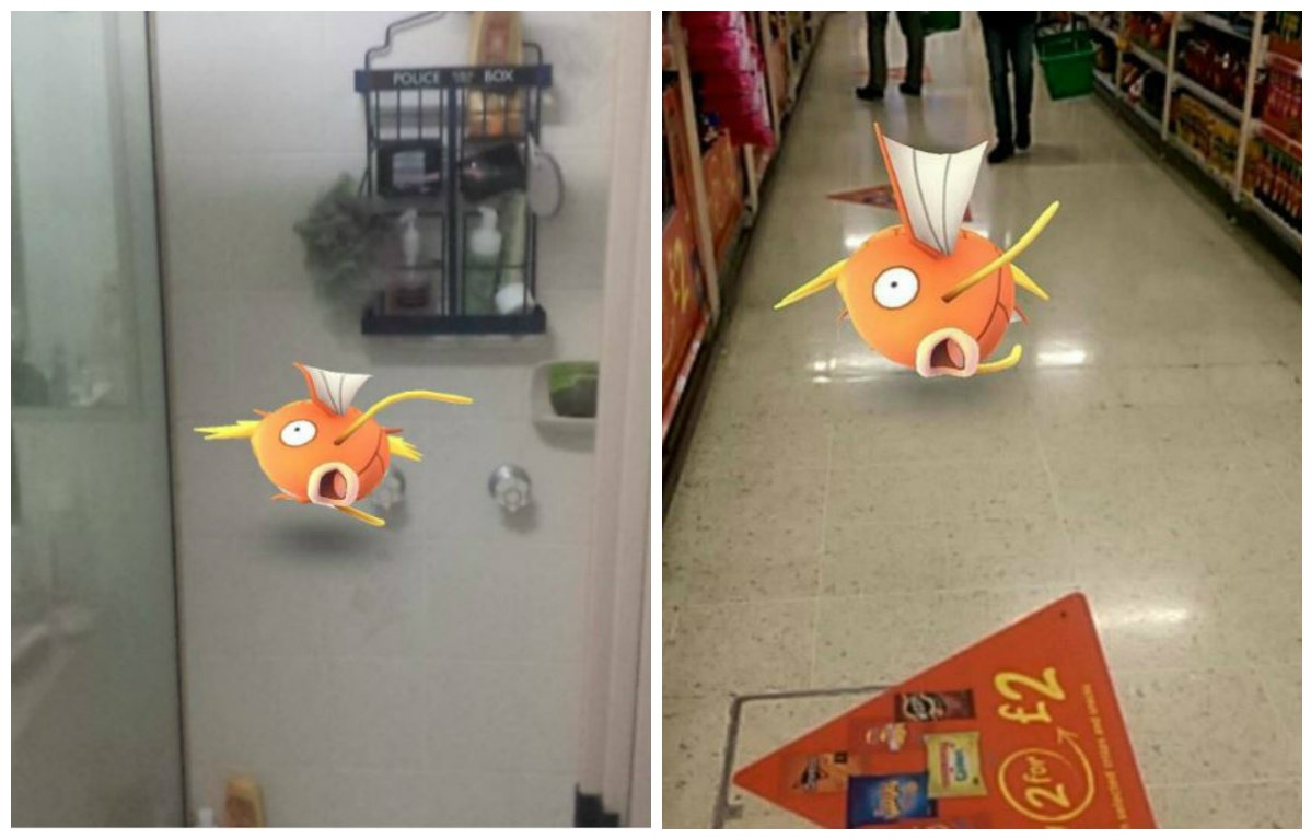 Magikarp Appears in Undignified Places