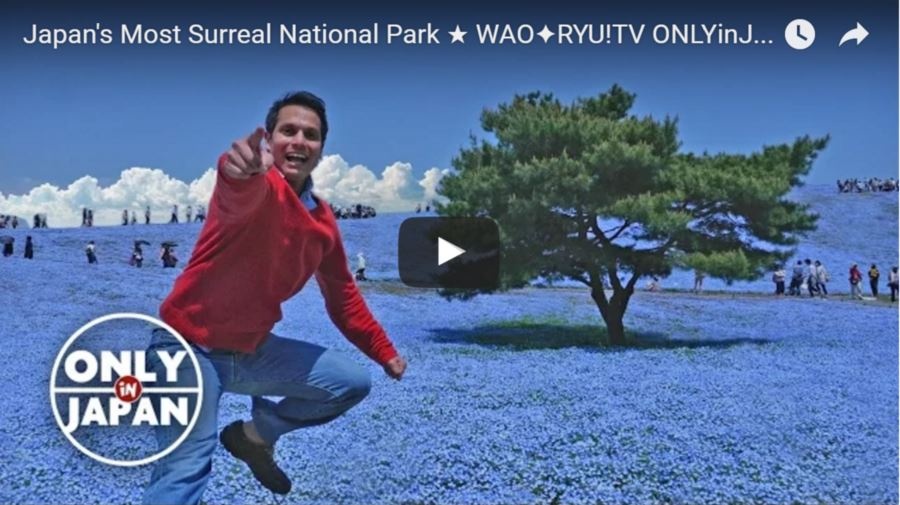 Japan's Most Surreal National Park