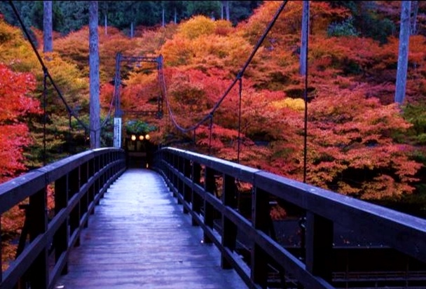 A Meal with a View at Momijiya in Kyoto