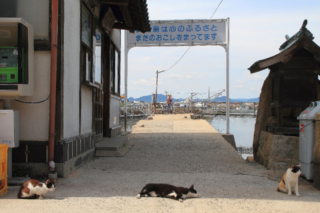 8. Aijima (Fukuoka)