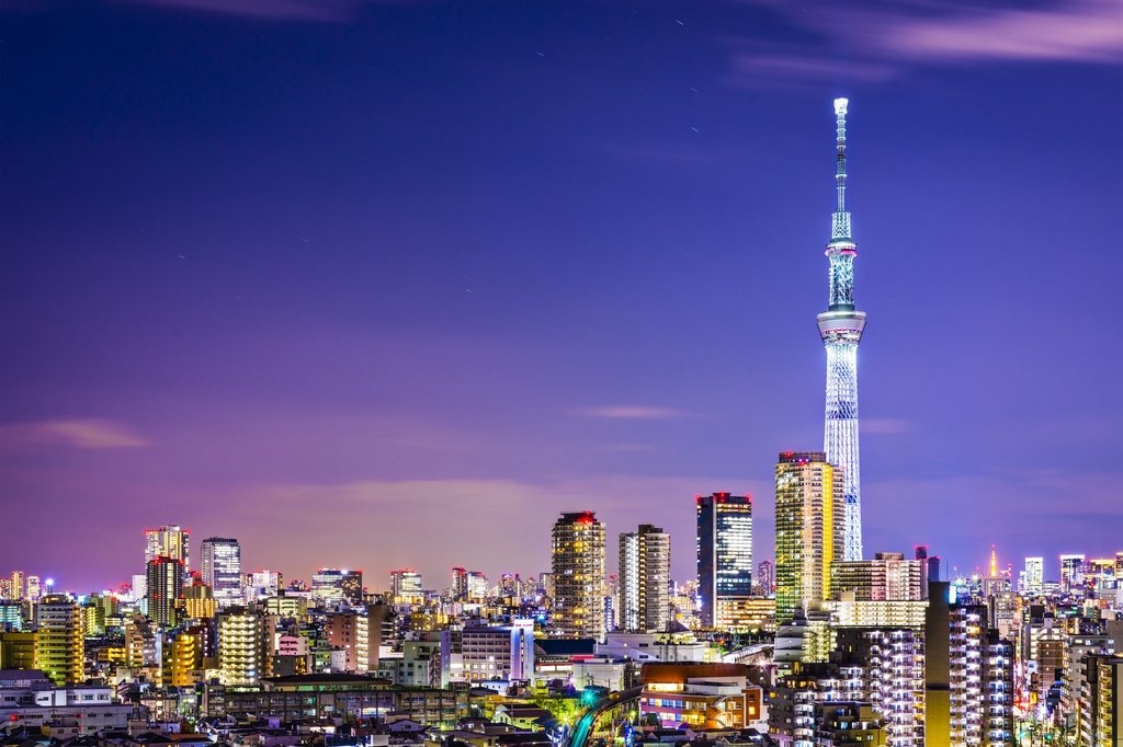 4. Tokyo by Bike: Skytree, Kiyosumi Garden and Sumo Stadium