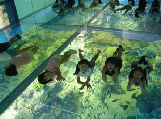 7. Echizen Matsushima Aquarium (Fukui)