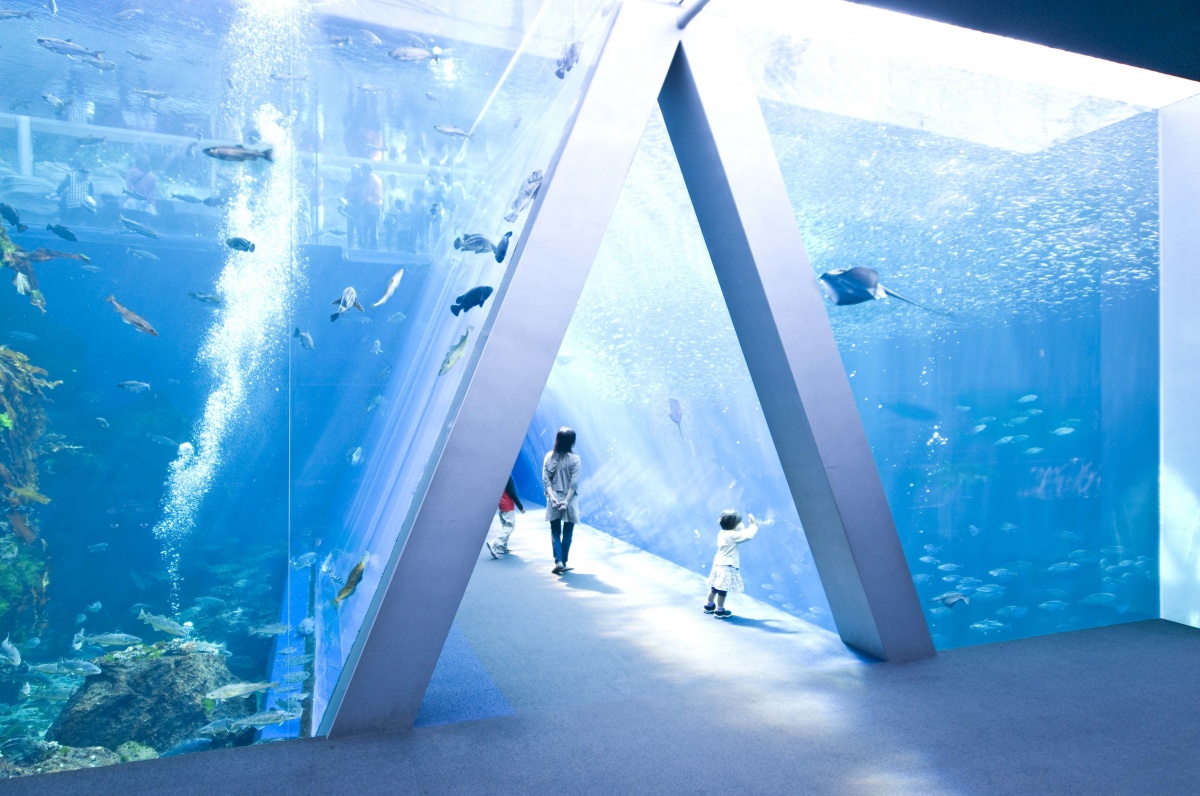 【福島縣】水藍色福島水族館（Aquamarine Fukushima）