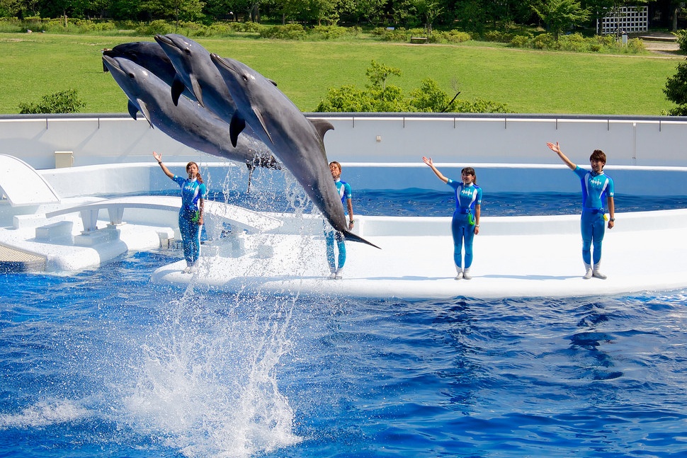 3. Kyoto Aquarium (Kyoto)