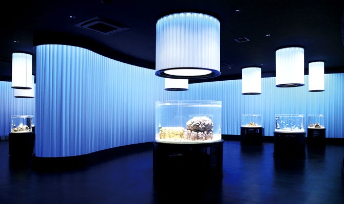 2. Nifrel Interactive Aquazoo, Expo City (Osaka)