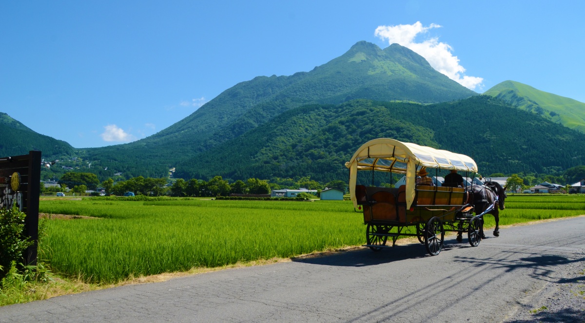 2. An Idyllic Rural Landscape with Horse-Drawn Carriages (Oita)