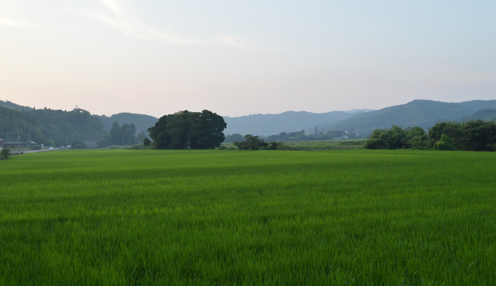 九州大分县的农业体验之旅